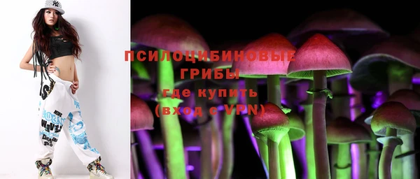 мдма Заводоуковск