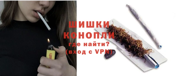 дживик Надым