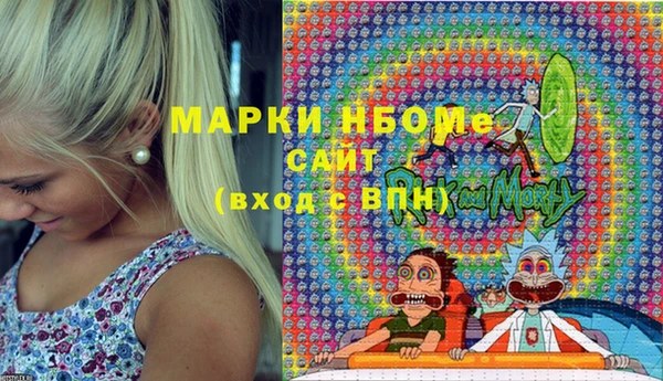 дживик Надым