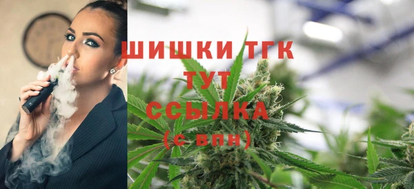 ПСИЛОЦИБИНОВЫЕ ГРИБЫ Наволоки