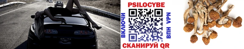 Псилоцибиновые грибы Psilocybine cubensis  закладки  Судак 